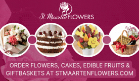 Vinaora Nivo Slider 3.x