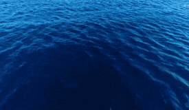 Vinaora Nivo Slider 3.x