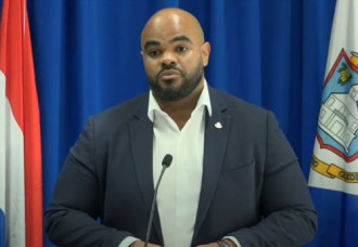 Growing Pile of Car Wrecks on Pond Island Prompts Government Response.