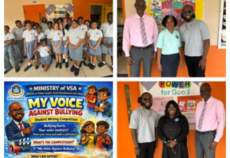 Ministry of Public Health, Social Development and Labor (VSA) Sint Maarten.