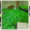 Minister Brug continues fresh produce outreach initiative to support vulnerable families.