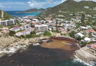 Survey seeks input from residents and tourists on sargassum impacts.