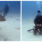 Sint Maarten Waters Recognized as an Important Shark and Ray Area Under IUCN Global Standard.