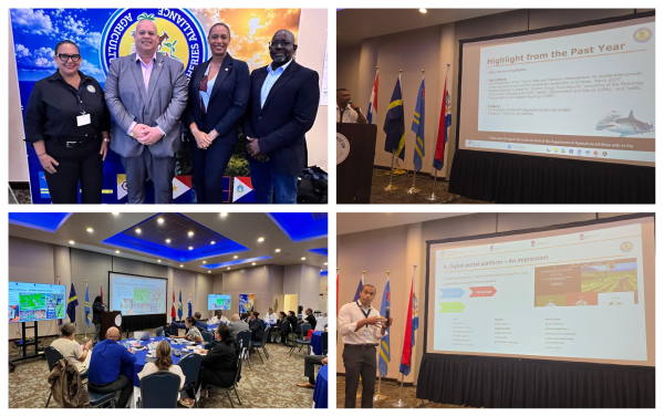 dcalfconf26052026
